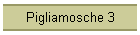 Pigliamosche 3
