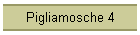 Pigliamosche 4