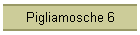 Pigliamosche 6