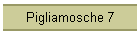 Pigliamosche 7