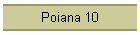 Poiana 10