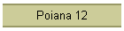 Poiana 12