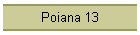 Poiana 13