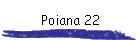 Poiana 22