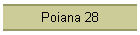 Poiana 28