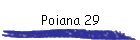 Poiana 29