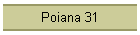 Poiana 31