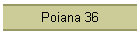 Poiana 36