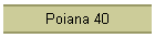 Poiana 40