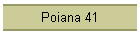 Poiana 41