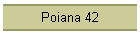 Poiana 42