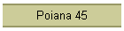 Poiana 45