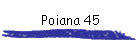 Poiana 45