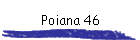 Poiana 46
