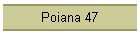 Poiana 47