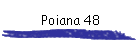 Poiana 48