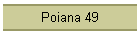 Poiana 49