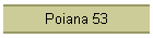 Poiana 53