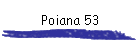 Poiana 53