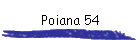 Poiana 54