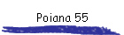 Poiana 55