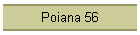 Poiana 56