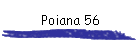Poiana 56