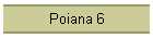 Poiana 6
