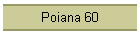 Poiana 60
