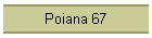 Poiana 67