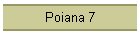 Poiana 7