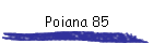 Poiana 85