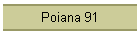 Poiana 91