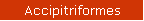 Accipitriformes