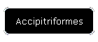 Accipitriformes
