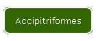 Accipitriformes