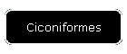 Ciconiformes