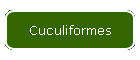 Cuculiformes
