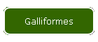 Galliformes