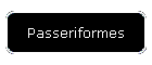 Passeriformes