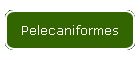 Pelecaniformes