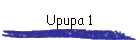 Upupa 1