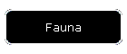 Fauna