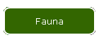 Fauna