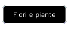 Fiori e piante