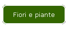 Fiori e piante