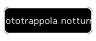Fototrappola notturna