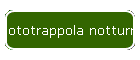 Fototrappola notturna