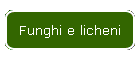 Funghi e licheni