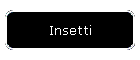 Insetti